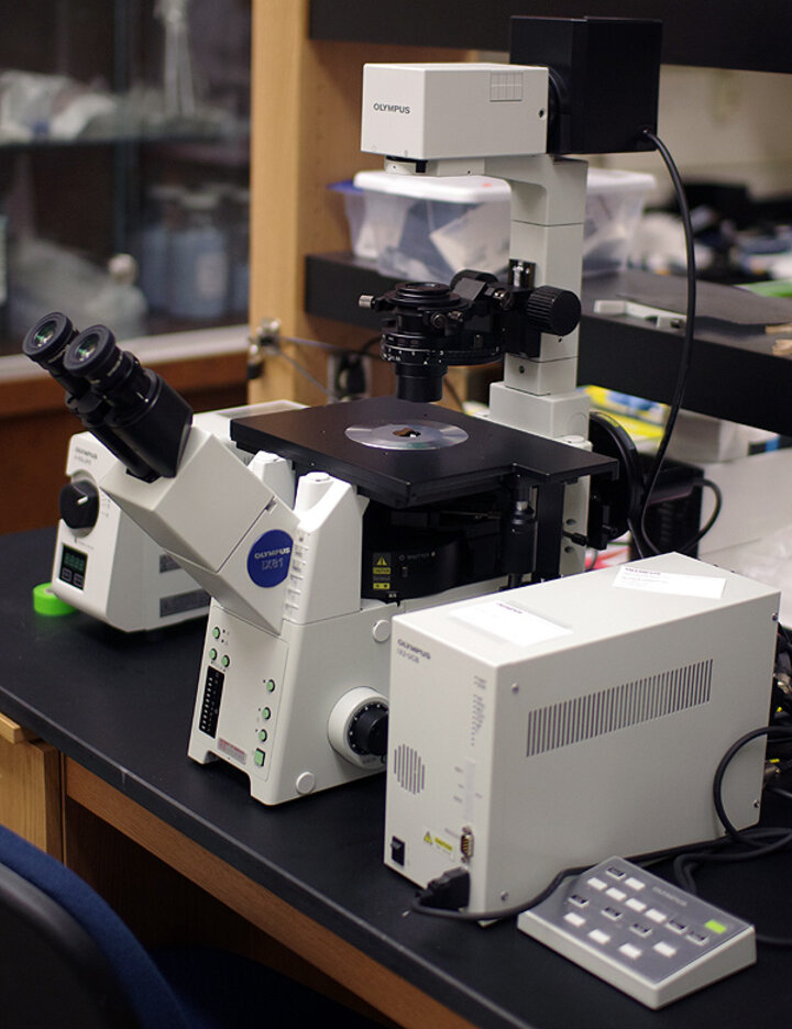 Inverted fluorescence microscope: Olympus IX81